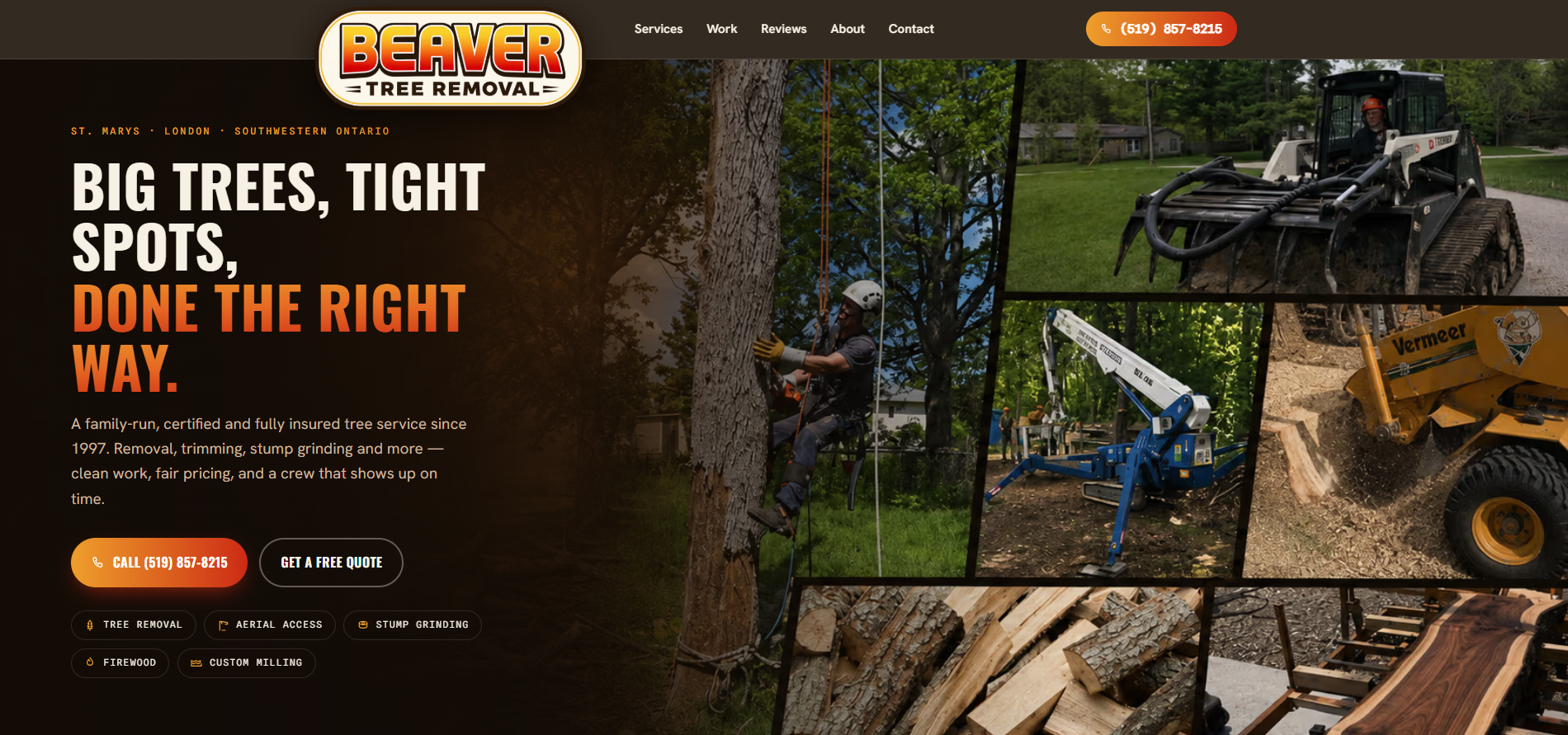 website redesign - Beaver tree